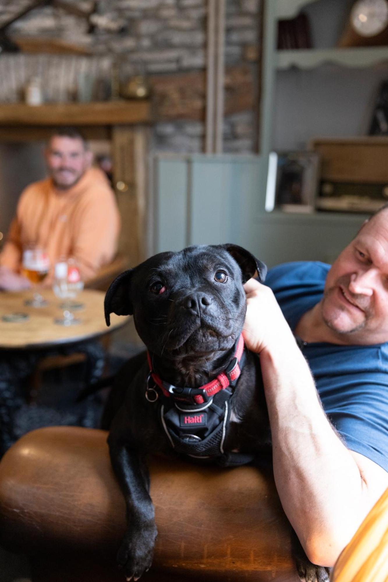 The Bear Inn Llantrisant  Eksteriør bilde